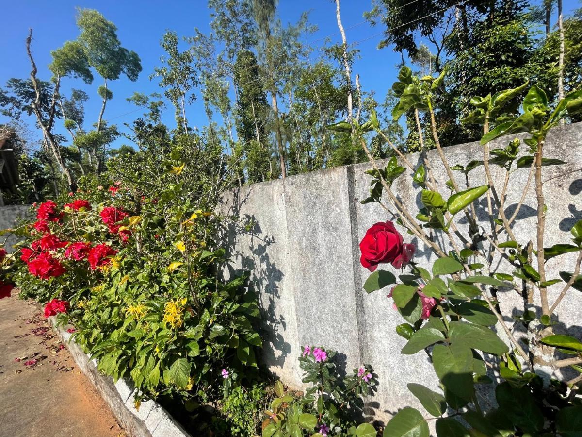 New Organic Home Stay Mudigere Экстерьер фото