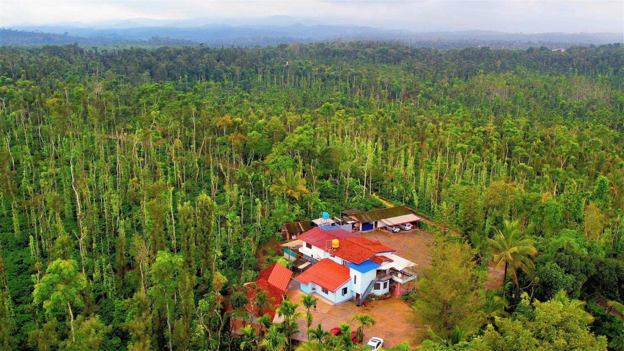 New Organic Home Stay Mudigere Экстерьер фото